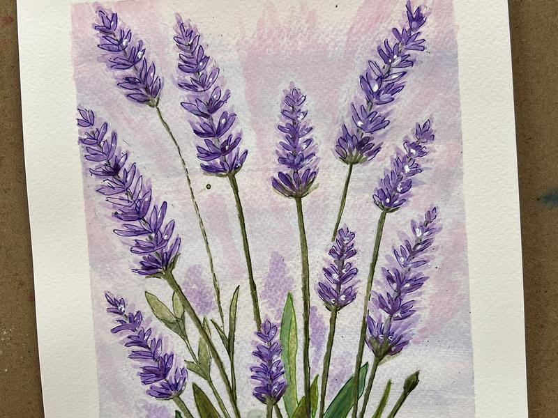 Student watercolour painting of purple lavender stems