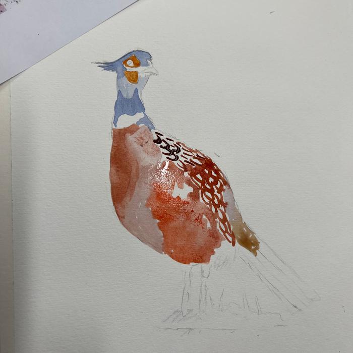Watercolour painting of a pheasant