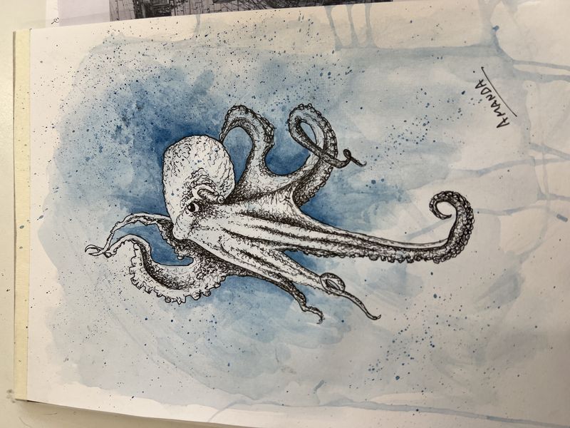 Octopus in fine ink line over a blue watercolour wash